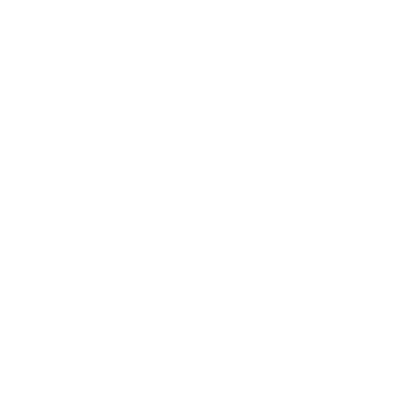 logo-blanc-basque-valley